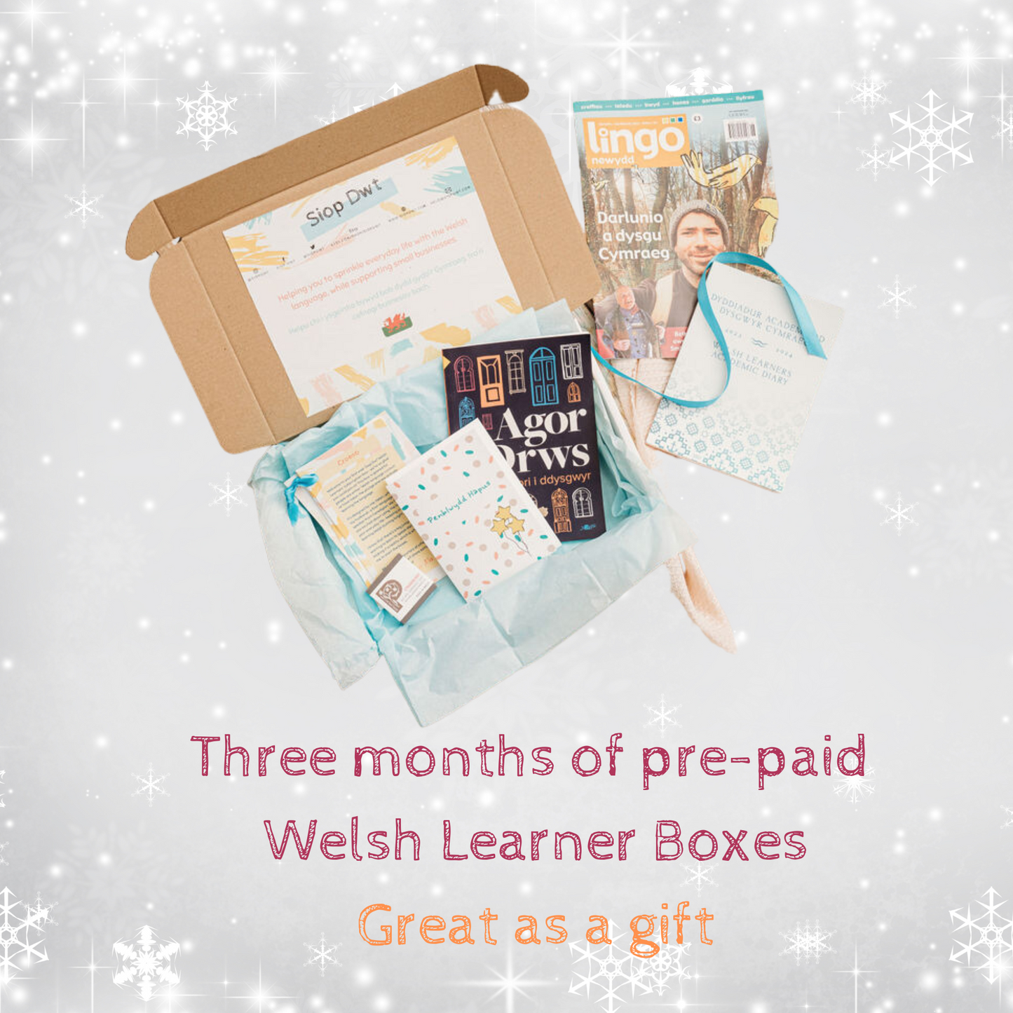 2023-24 Three months of pre-paid Welsh Learner Boxes