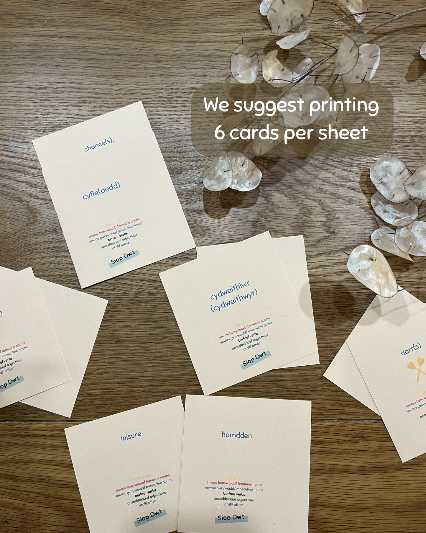 Sylfaen Flashcards: Learn Cymraeg Vocabulary Uned 1-7 (Printable PDF)
